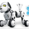 Robot Dog