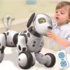 Robot Dog