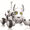 Robot Dog