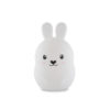 224748140205.jpg Bunny Nightlight