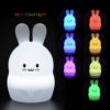 49637628834296.jpg Bunny Nightlight